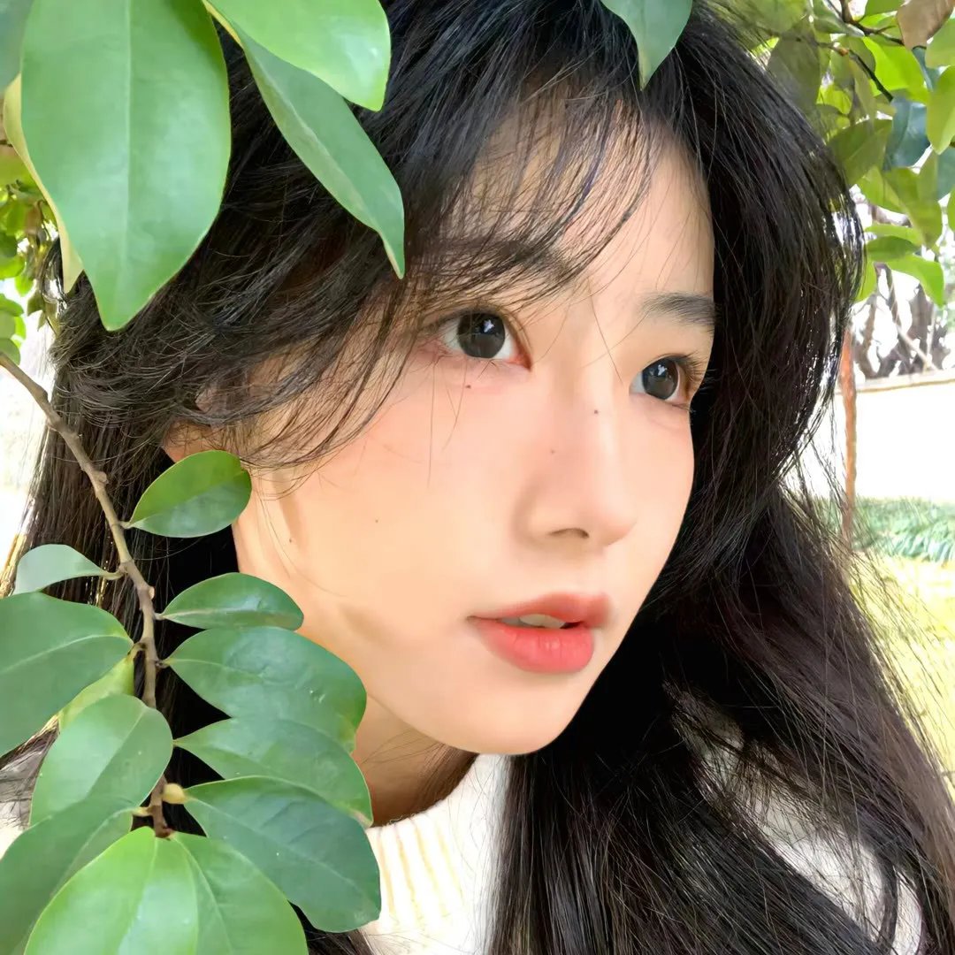 贪婪的人