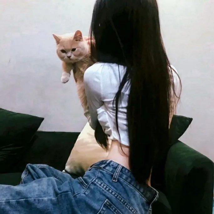 玉女情动